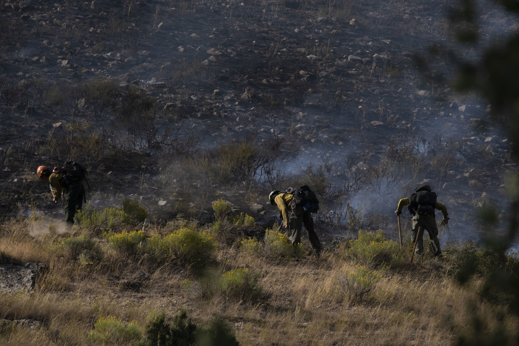 Saddle Butte Fire